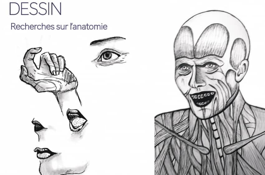Book de Johanna Masson