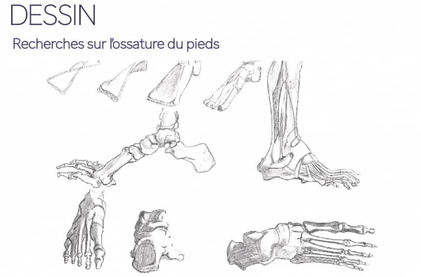 Book de Johanna Masson