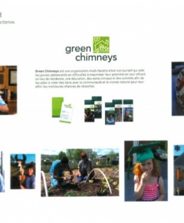 GREEN CHIMNEYS - 2ÈME ANNÉE BTS DESIGN GRAPHIQUE GREEN CHIMNEYS - 2ÈME ANNÉE BTS DESIGN GRAPHIQUE