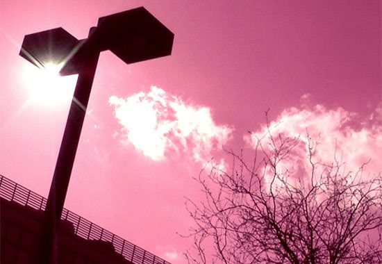 Réalisation d'un court-métrage en MANAA de Cifacom Réalisation d'un court-métrage en MANAA de Cifacom